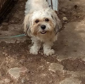 Meet your Posher, Magdalena